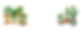 WIX_Great Plant Exchange.png