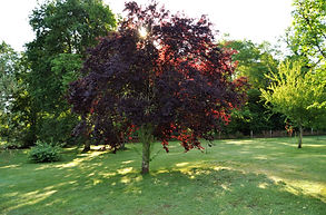 DSC_0108_edited.jpg