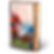 Thumbnail: Artwork of a book with text: But what do dreams know of boundary lost?