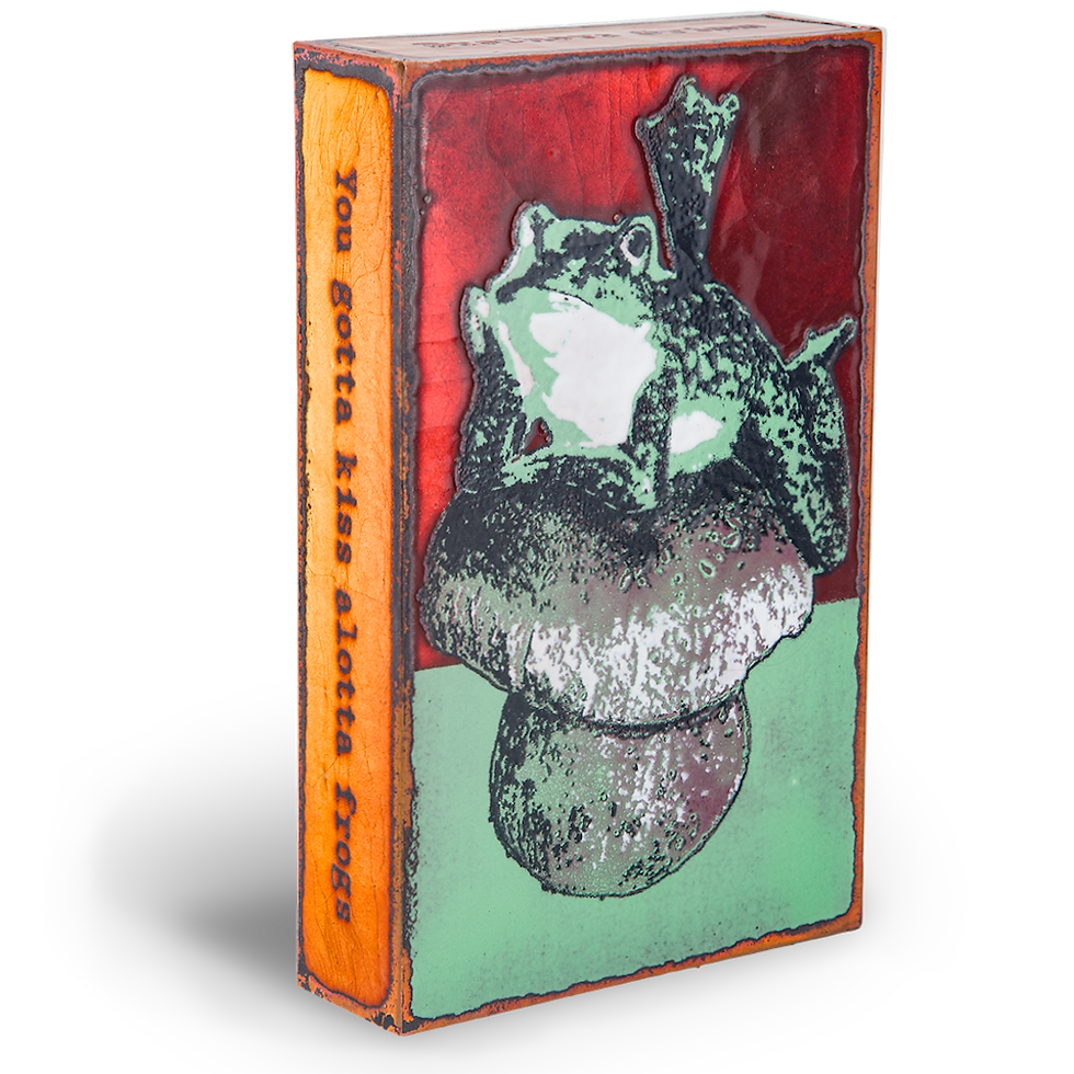 Thumbnail: Frog on mushroom art. Text reads: You gotta kiss a lotta frogs.
