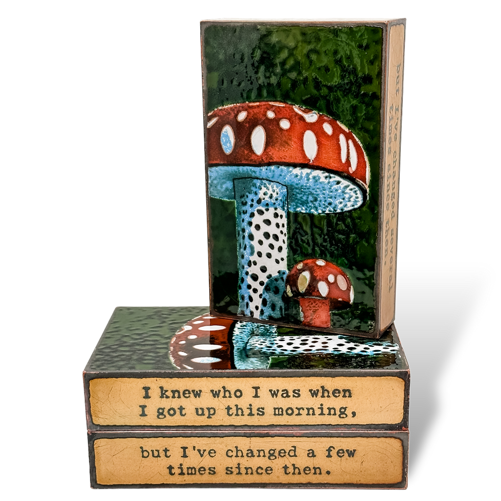 Thumbnail: Pop-up book with mushroom illustration and text: I knew who I was.