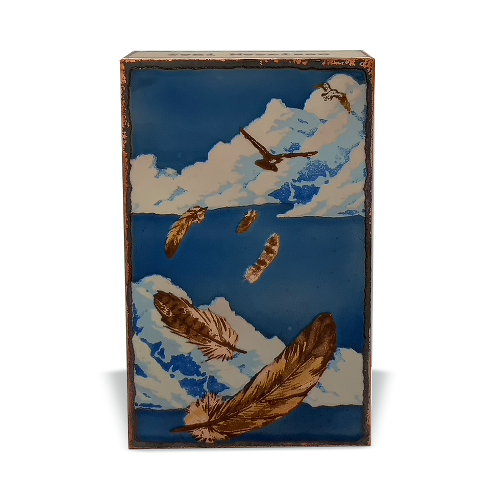 Thumbnail: Painting of clouds, birds, and feathers. Brown and white art in the sky.