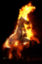 Welshampton Pegasus Bonfire
