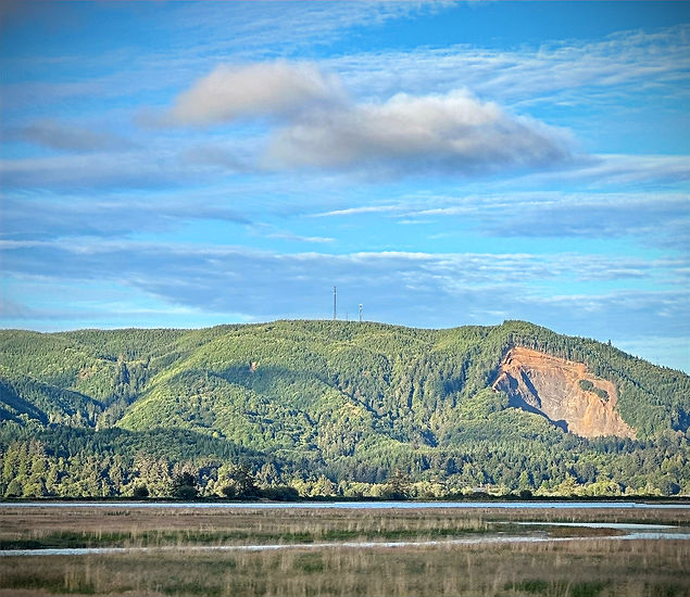 South Bend Hills_edited.jpg