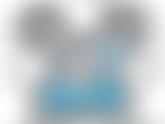 グラビアコート