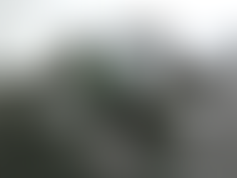 ステライトについて