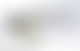 カニゼンメッキについて