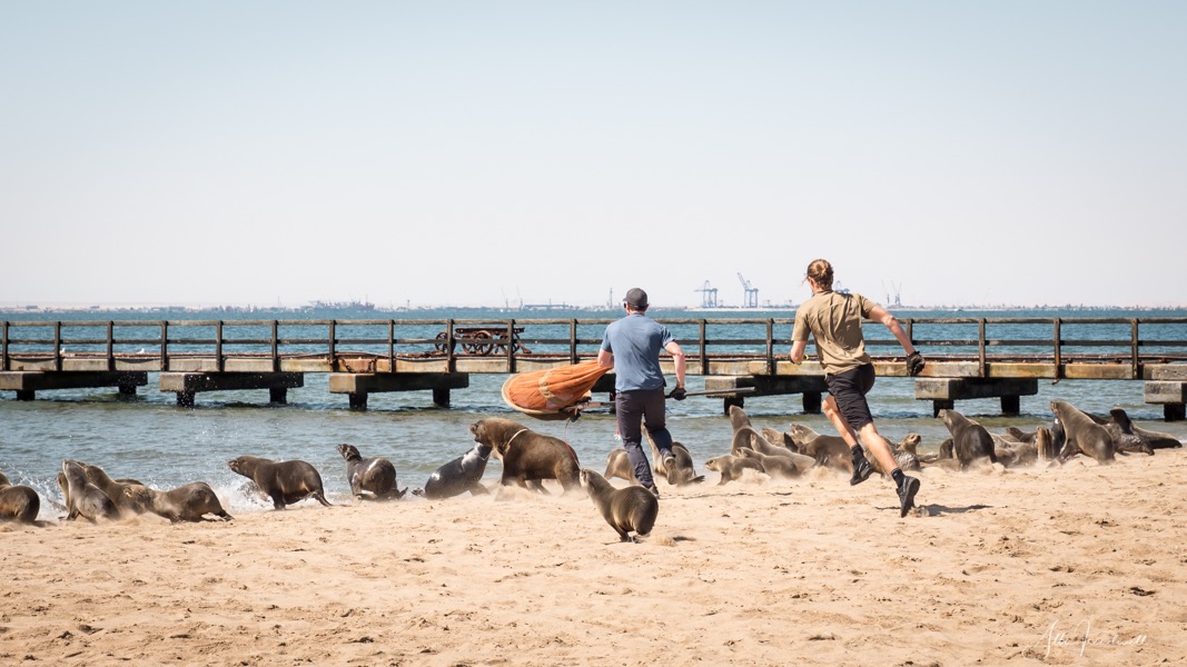 Non-profit organisation | Ocean Conservation Namibia | Erongo Region