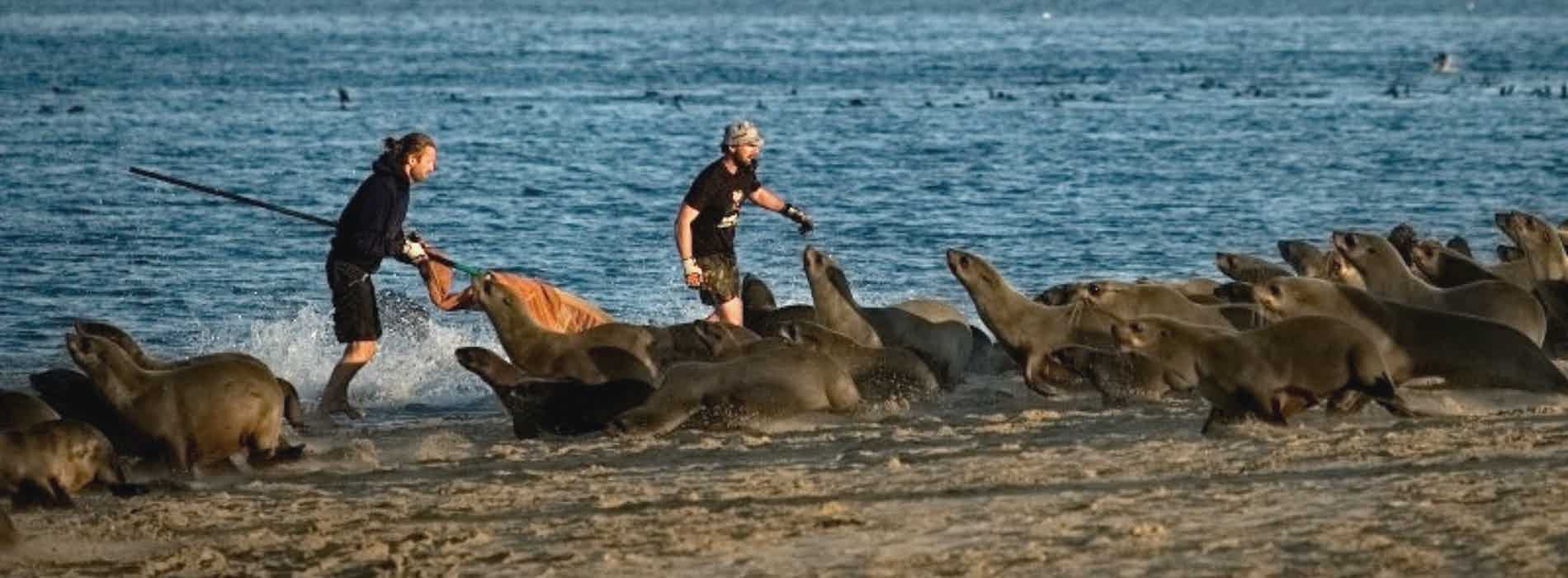 Non-profit organisation | Ocean Conservation Namibia | Erongo Region