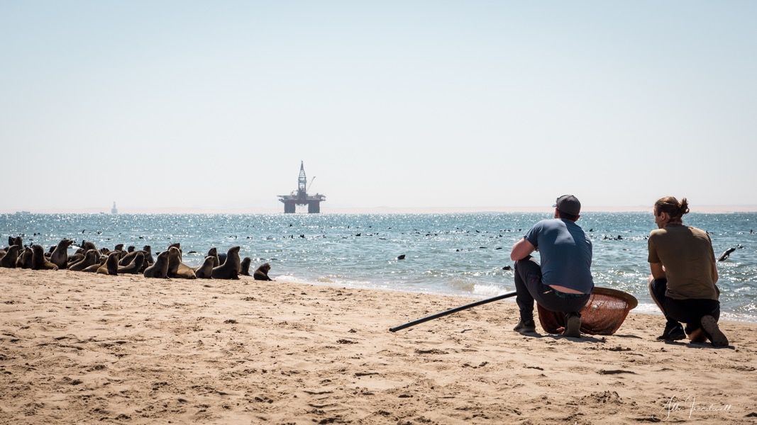 Non-profit organisation | Ocean Conservation Namibia | Erongo Region