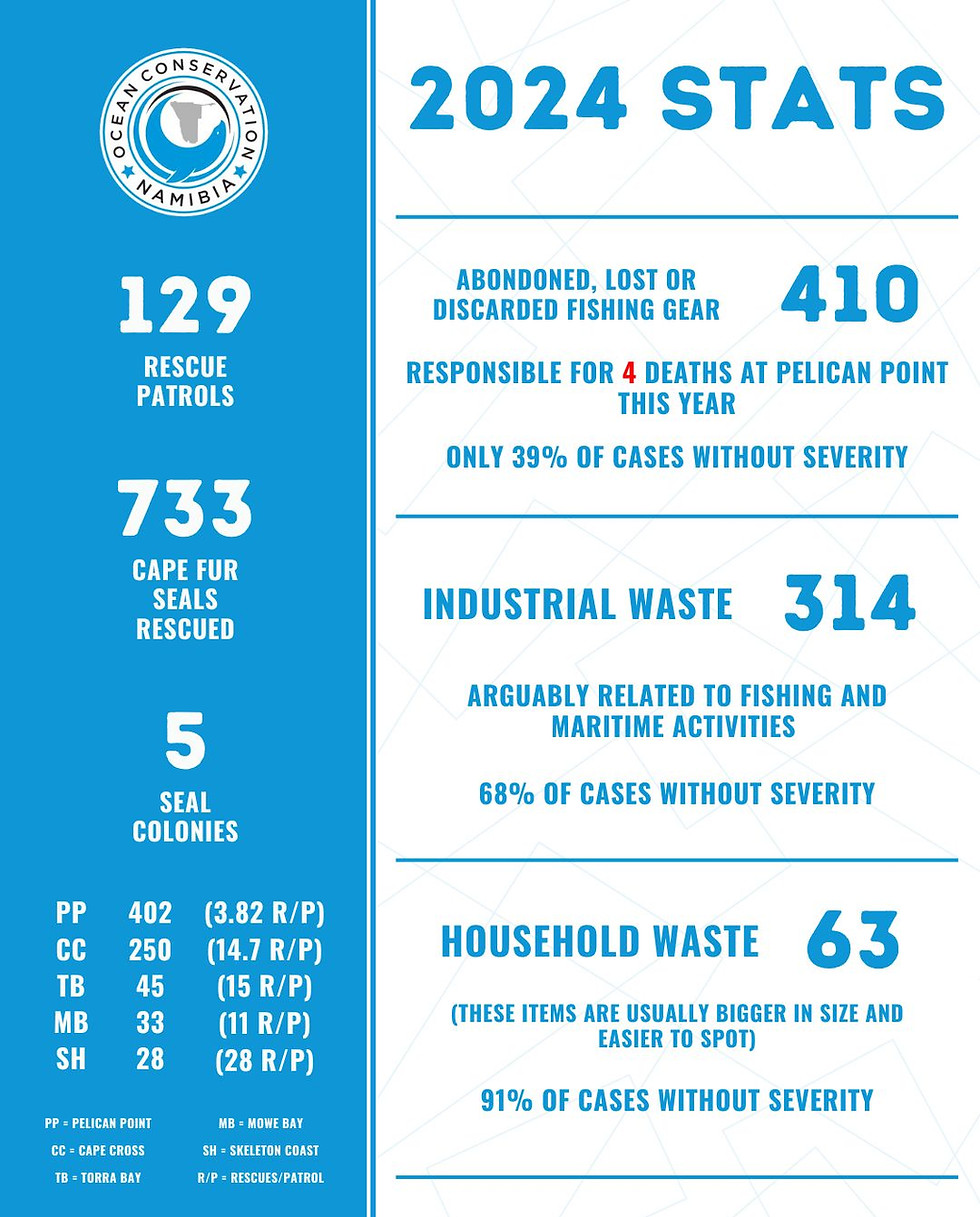 OCN Seal Rescue Year Stats