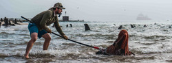 Ocean Conservation Namibia | Seal Rescues