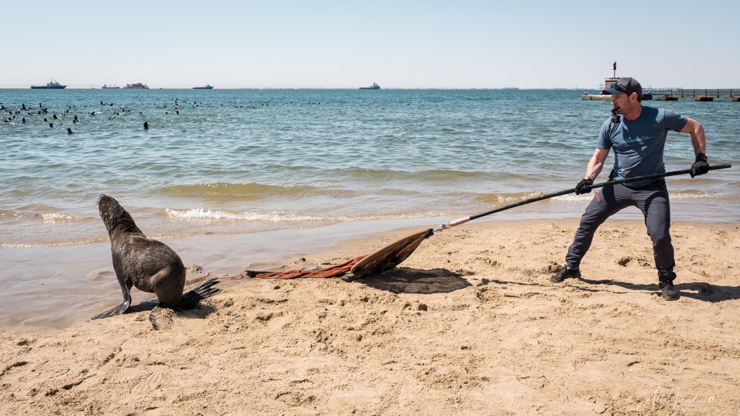 Non-profit organisation | Ocean Conservation Namibia | Erongo Region