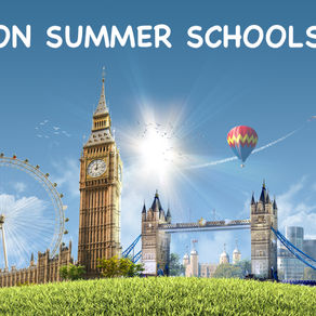 2019 Summer Schools offering Professional Development