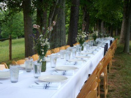 Building Sustainable Event Organisations