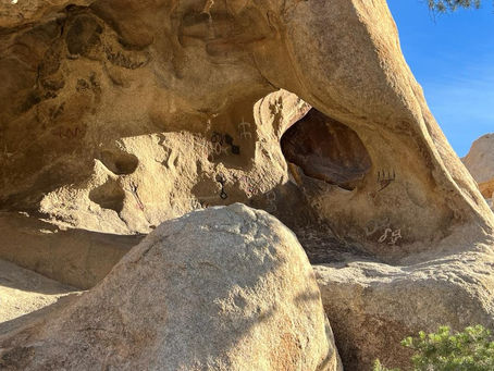 Best Winter Activities to Do near Joshua Tree!