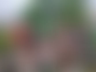 喜須来小学校「ありがとうの花」を大合唱