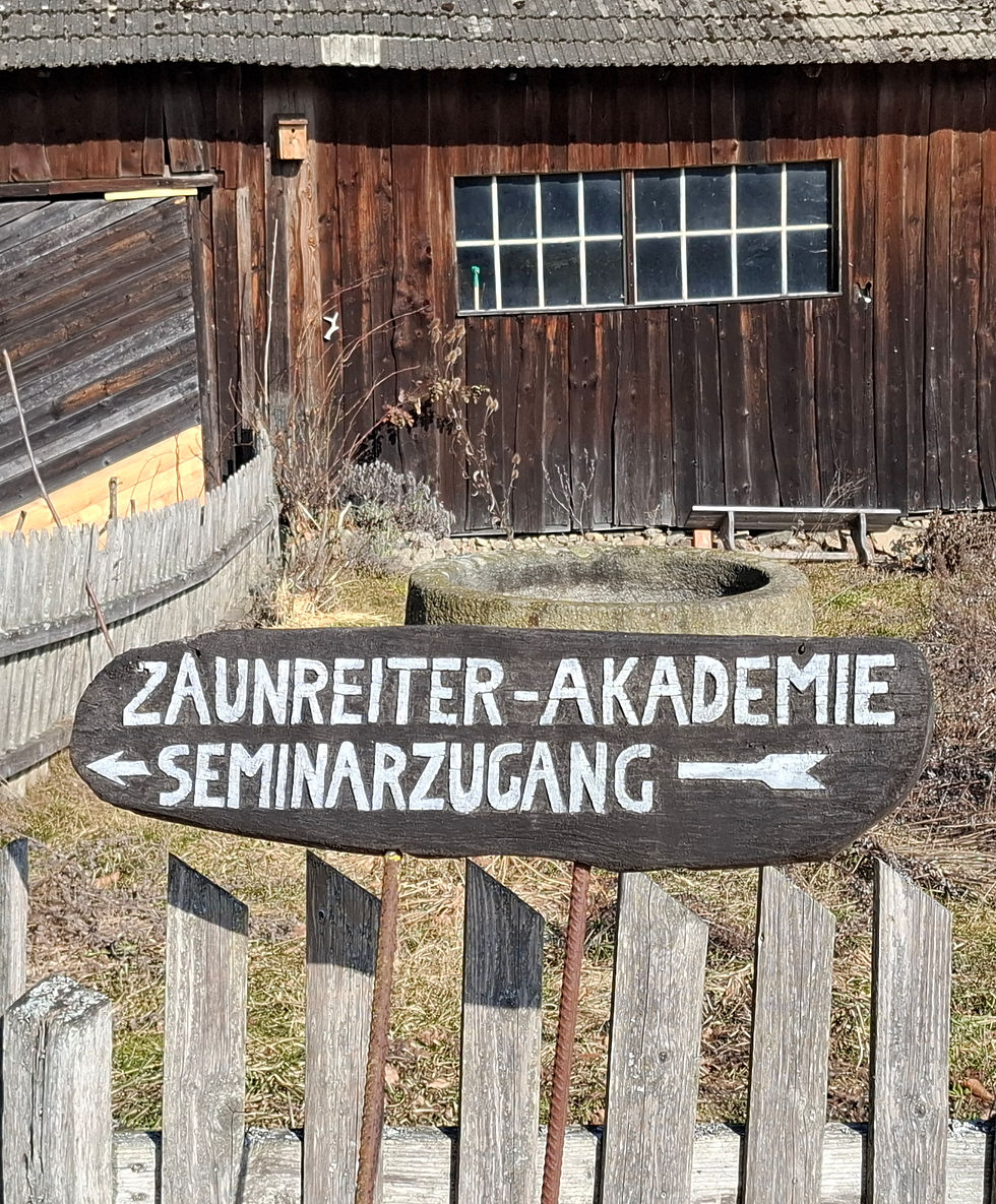 20250220_122037.jpg