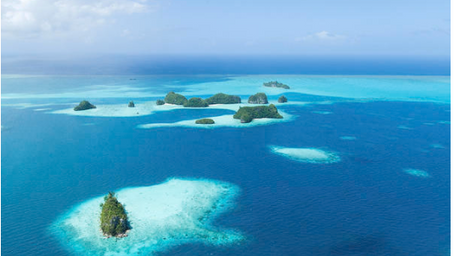 Las Islas de Enfermedad de la Vida