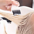 Highlights Services