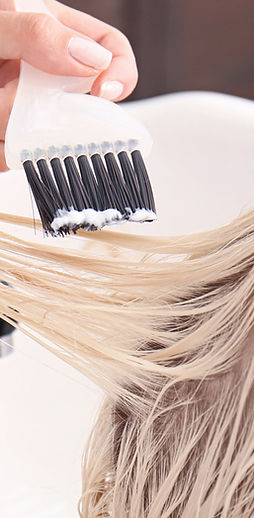 Hair Coloring Action