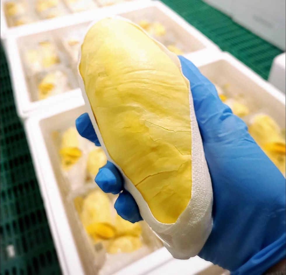 ภาพขนาดย่อ: Fresh Durian Monthong (12 boxes)