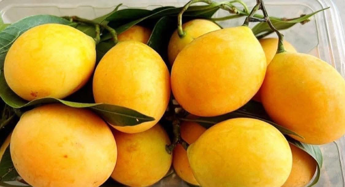มะยงชิด คัดไซด์ Big Yellow plum ขนาด 500 กรัม