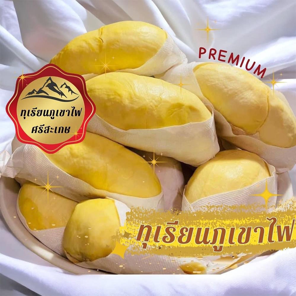 ภาพขนาดย่อ: [LAVA] Volcanic Durian Case (6 Boxes)