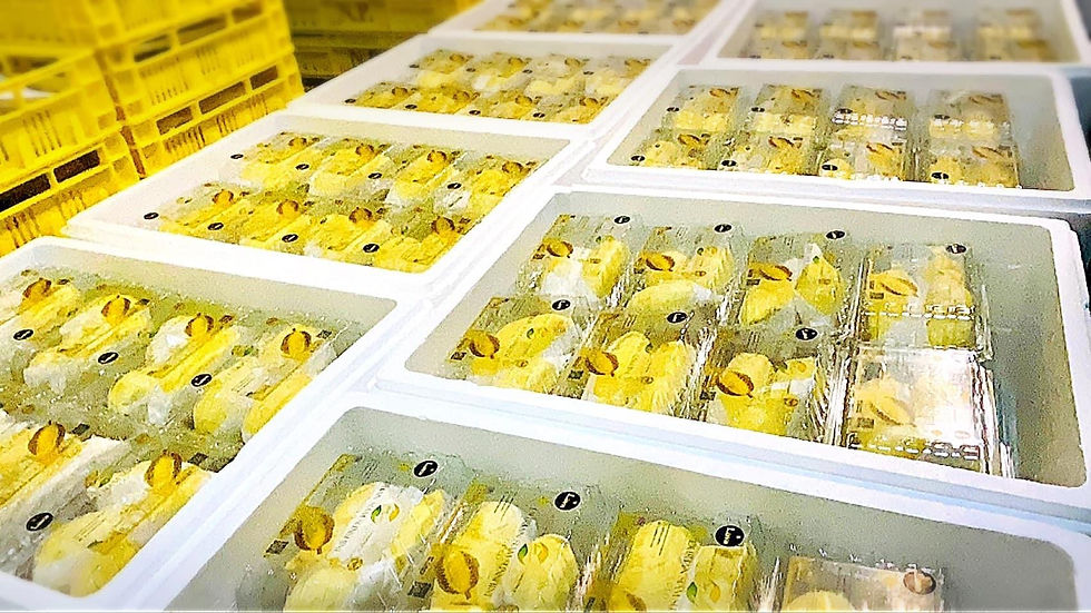ภาพขนาดย่อ: [LAVA] Volcanic Durian Case (4 Boxes)