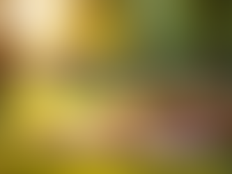 Creating Memories with Extended Family Photography