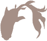 胡桃染金魚.png