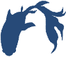 青藍金魚.png