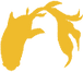 深支子金魚.png