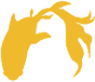 深支子金魚.png