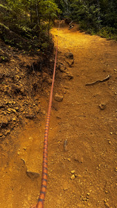 Rope ladders to the top of Mt Storm King 