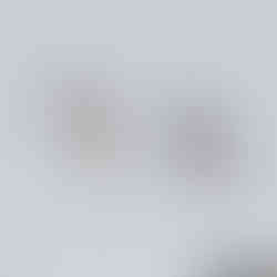 Gentoo penguins frolicking