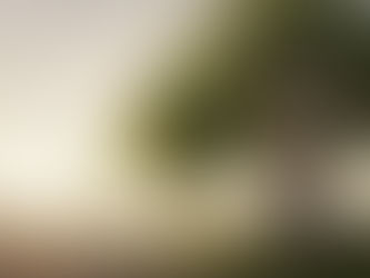 The Compound Effect of Habits: How to Build a "Life Portfolio" for Lasting Results