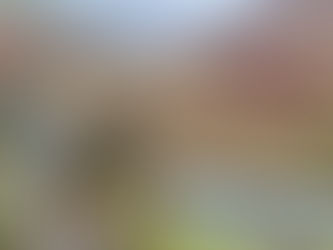 Lessons from the Wild: Reflections on a 180km Running Adventure