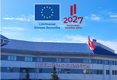 projekta vizualis (2).png