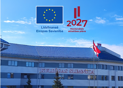 projekta vizualis (2).png
