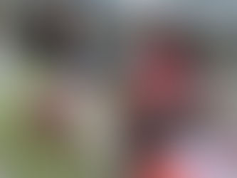 Dāvina pirmos zābaciņus