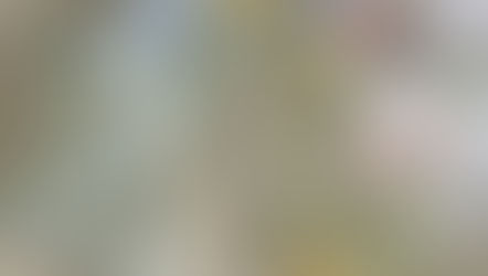 Šī gada otrais dvīņu pāris Kuldīgas slimnīcā - Ričards un Oskars