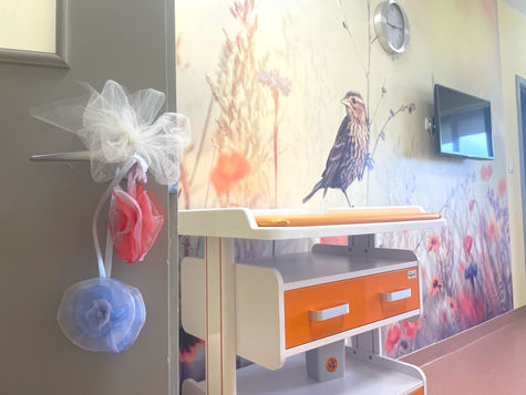 Paplašina ģimenes palātu skaitu