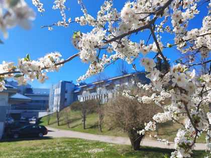 4.maijā - reģistratūra slēgta