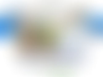 Darba laiks Līgo svētkos