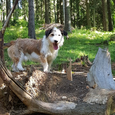 Bin mal wieder am wandern...