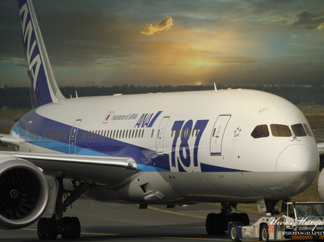 01boeing-787-8-dreamliner----ja822a-----