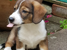 Luci, mein Schwesterchen
