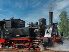IMG_8194_bearbeitet-1 (1).jpeg