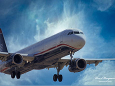 IMG_6545LAX.jpeg